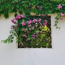 苏州旅游 缩略图 6