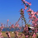 苏州旅游 缩略图 10