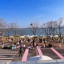 苏州旅游 缩略图 4