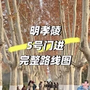 南京旅游 缩略图 1
