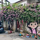 苏州旅游 缩略图 11
