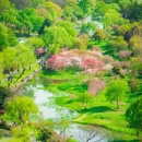 扬州旅游 缩略图 1