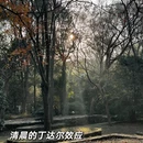南京旅游 缩略图 13