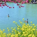 扬州旅游 缩略图 4
