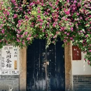 苏州旅游 缩略图 12