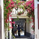 苏州旅游 缩略图 17
