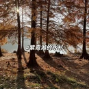 南京旅游 缩略图 14