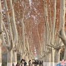 南京旅游 缩略图 7