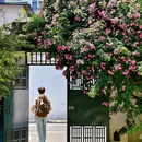 苏州旅游 缩略图 9