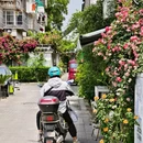 苏州旅游 缩略图 18