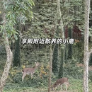 南京旅游 缩略图 9