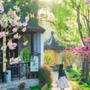 扬州旅游 缩略图 2
