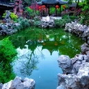 扬州旅游 缩略图 13