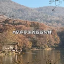 南京旅游 缩略图 16