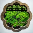 扬州旅游 缩略图 10
