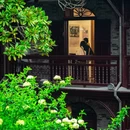 扬州旅游 缩略图 11