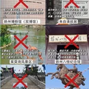 扬州旅游 缩略图 6