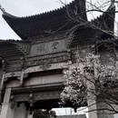 无锡旅游 缩略图 8
