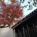 苏州旅游 缩略图 14