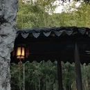 苏州旅游 缩略图 16