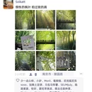 南京旅游 缩略图 3