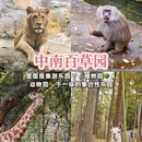 杭州旅游 缩略图 7