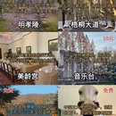 南京旅游 缩略图 2