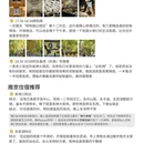 南京旅游 缩略图 5