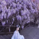 苏州旅游 缩略图 2
