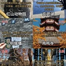 南京旅游 缩略图 3