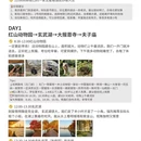 南京旅游 缩略图 1