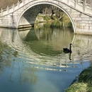 扬州旅游 缩略图 5