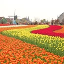 天津旅游 缩略图 3