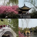 扬州旅游 缩略图 4