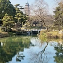 扬州旅游 缩略图 14