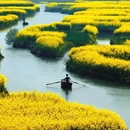 天津旅游 缩略图 1