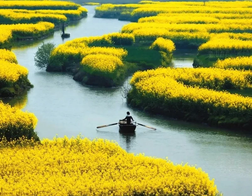 天津旅游 1