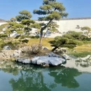 扬州旅游 缩略图 4
