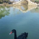扬州旅游 缩略图 9