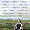 桂林旅游 缩略图 15