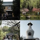 扬州旅游 缩略图 3
