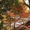 苏州旅游 缩略图 5