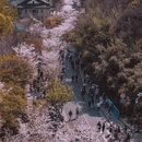 天津旅游 缩略图 2