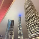 上海旅游 缩略图 12