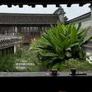扬州旅游 缩略图 10