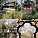 苏州旅游 缩略图 4