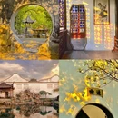 苏州旅游 缩略图 5