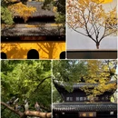 苏州旅游 缩略图 5