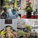 苏州旅游 缩略图 6