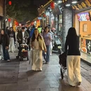 扬州旅游 缩略图 2